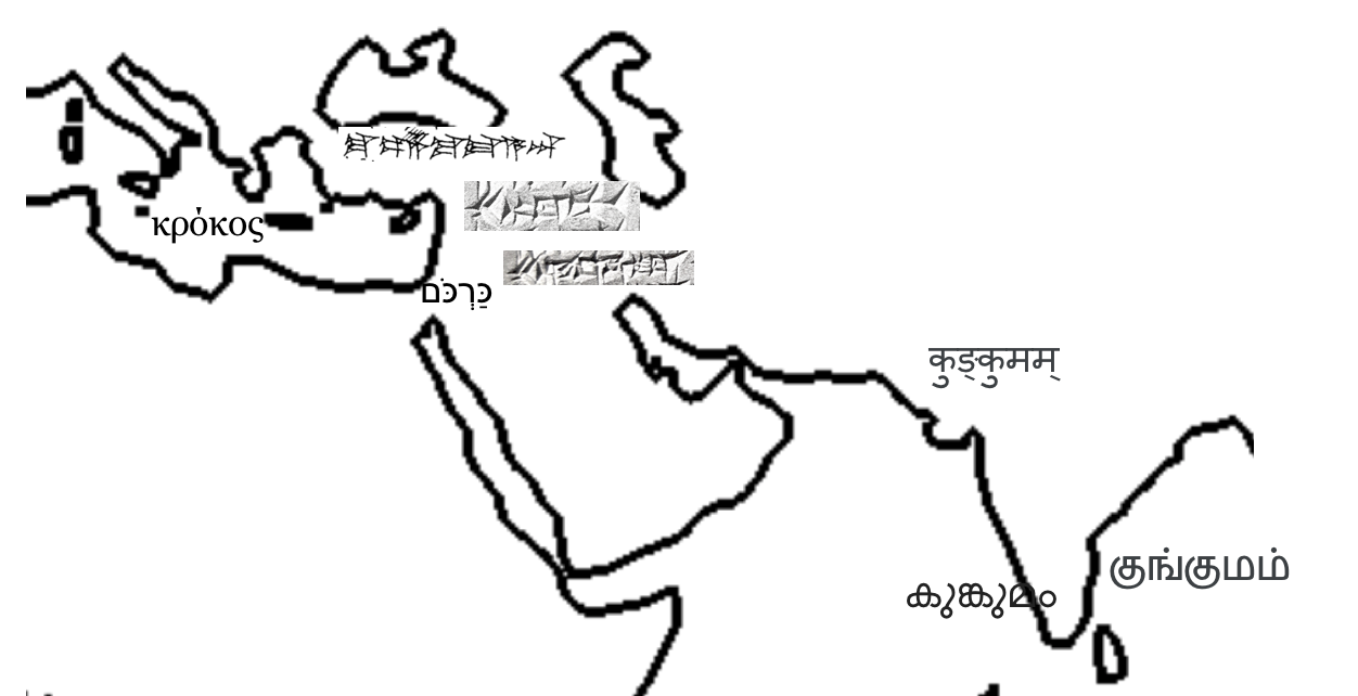 curcuma.png